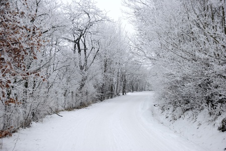 Cold and snowy winter roadの写真素材