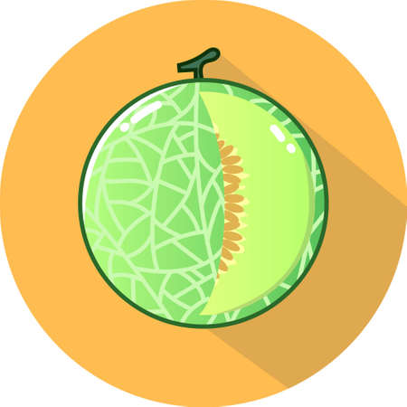 melon flat vector illustration, tropical fruit, delicious and juicy drink, melon in cartoon style for web designのイラスト素材