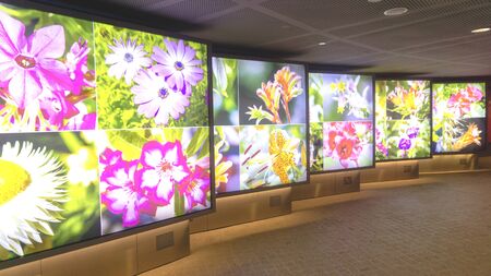 SINGAPORE, April 27th, 2019:  Beautiful futurustic Flower Pictures Exhibition in Flower Dome Garden...