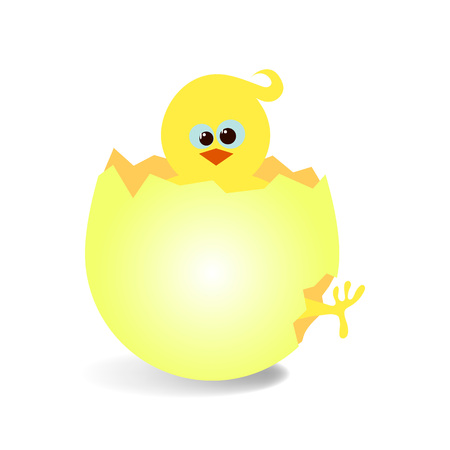 vector illustration of funny newborn chicken in cracked eggのイラスト素材