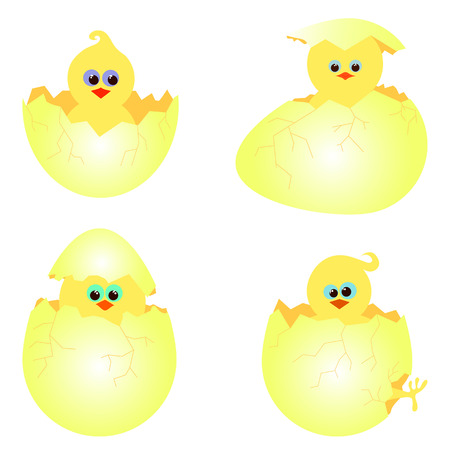 vector set of chickens in a cracked eggsのイラスト素材