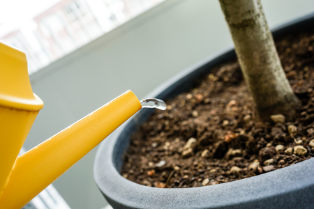 yellow watering can with dry ton potの写真素材