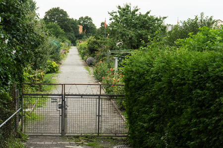 pathway with fence for allotment garden with flags in the backの写真素材