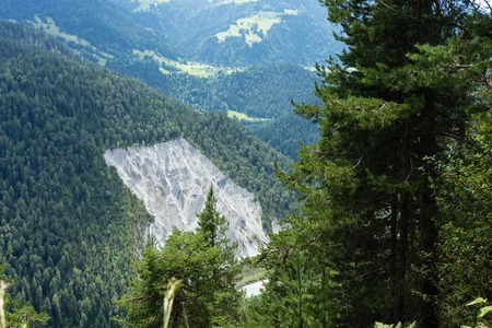 empty space in forestの写真素材