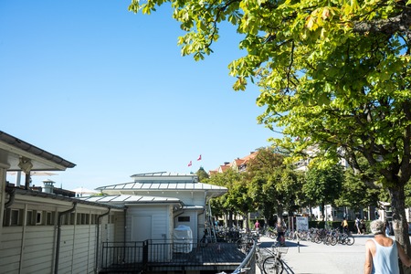lake zurich view in summer with swiss national flag in backの写真素材