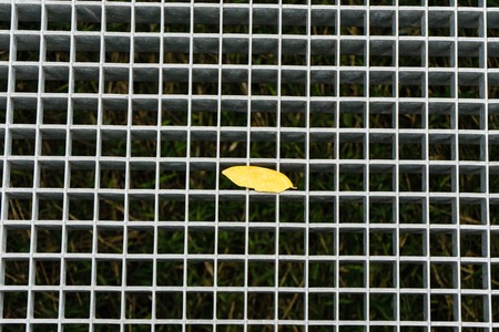yellow leaf on metal gridの写真素材