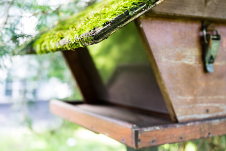 Bird house with tree on a wooden stick