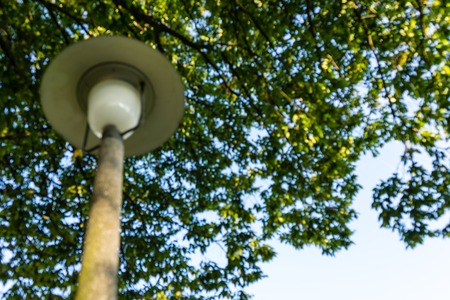 Retro street light with tree in the back and blue skyの写真素材