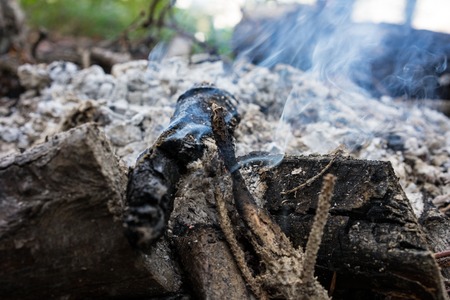fire place for bbq and grill in forrest close up view with grey ash and small fireの写真素材