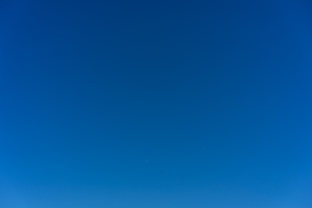 common eurasian buzzard flying in blue skyの写真素材