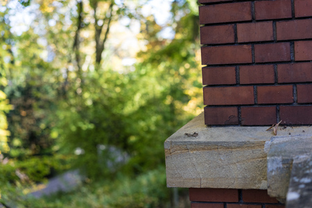 red brick wall house corner with garden viewの写真素材