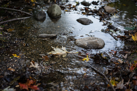 water reflection in park in autumn fall season