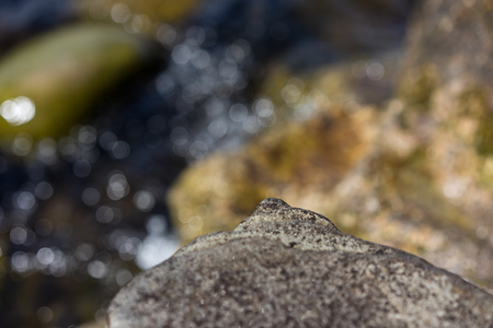 stone shore close up with water