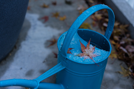 blue water can in winter with leaf and snowの写真素材