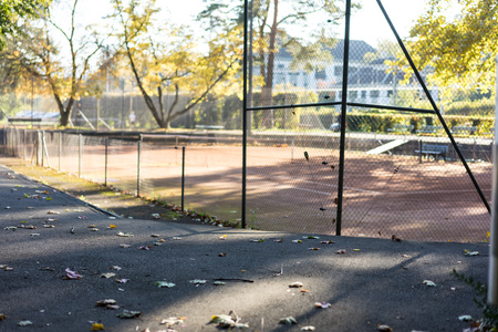tennis court in park in autumn seasonの写真素材