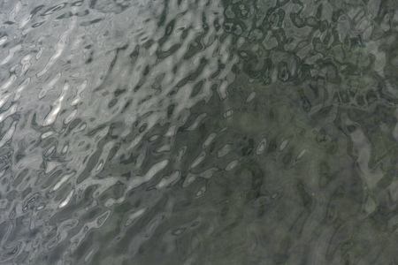 vibrant green water surfaceの写真素材