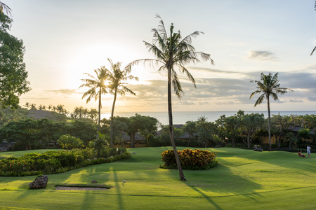 perfect paradise sunset scene with palms and oceanの写真素材