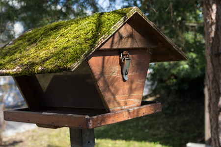 brown wooden birdhouse with moss covered roofの写真素材