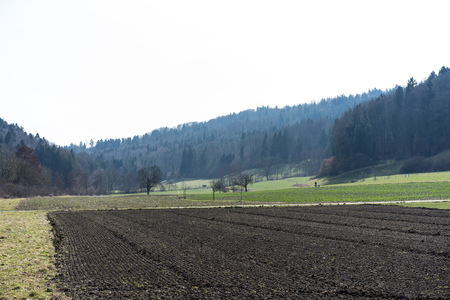 farming field landscapeの写真素材