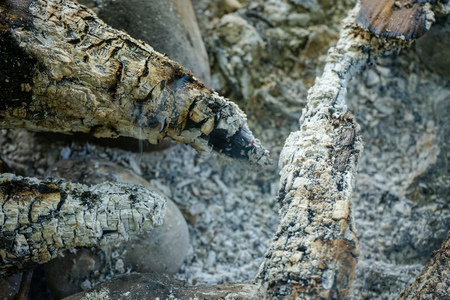 ash from wood remaining after camp fire bbq