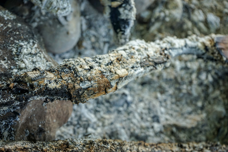 ash from wood remaining after camp fire bbqの写真素材