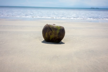 Holiday mood picture with sand, water, coconut and sky on jimbaran beach in bali indonesia
