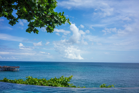 colorful water with ripples, green plant and iconic ocean viewの写真素材