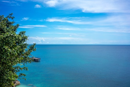 Nature view with green plants and ocean background with cloudy skyの写真素材