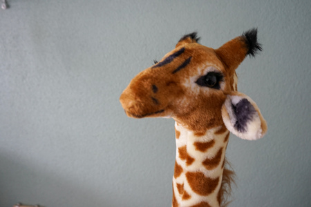 plush giraffe head close up view in front of wallの写真素材