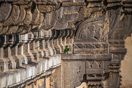 A parrot sitting on the side wall of heritage structure of Gol Ghumbaj -  The mausoleum of king Mohammed Adil Shah, Sultan of Bijaのeditorial素材