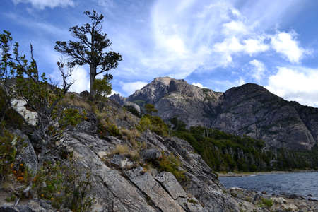 Lonely pine tree on top of rocks with mountain view on lakeside.の写真素材