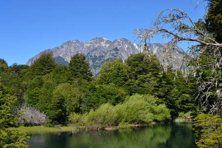 Green lake in the woods with mountain vista on sunny summer day.の写真素材