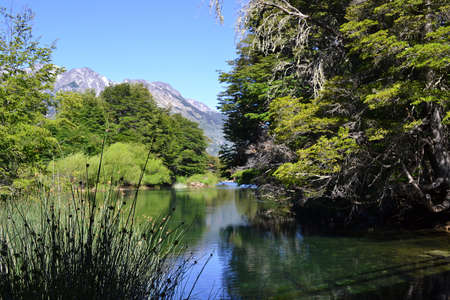 Green lake in the woods with mountain vista and lush vegetation on sunny summer day.の写真素材