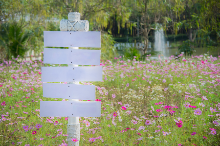 The heart of the media at the Valentines Festival. Amidst a flower garden.の写真素材