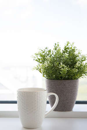 white cup near with a green plant on a light background in the morning lightの写真素材