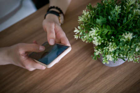 girls hands hold smartphone on a background of a light tree with a green plant, remote work via smartphoneの写真素材