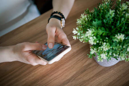 girls hands hold smartphone on a background of a light tree with a green plant, remote work via smartphoneの写真素材