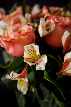 dark luxurious bouquet of gorgeous pink roses for Valentine's day on a dark wood backgroundの写真素材