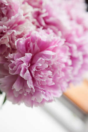 pink peonies in pastel colors close-up, flower pattern, vintage photo processingの写真素材