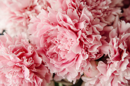 pink peonies in pastel colors close-up, flower pattern, vintage photo processingの写真素材