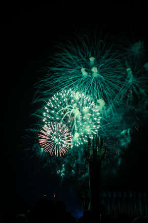 beautiful fireworks. light up the sky, New Year celebration fireworksの写真素材