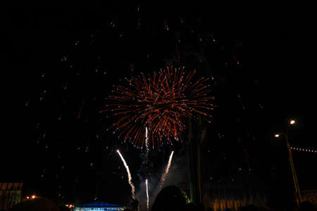beautiful fireworks. light up the sky, New Year celebration fireworks