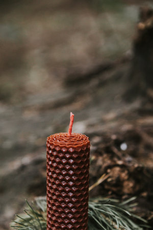candle on an old log in the forest. Fall season.の写真素材