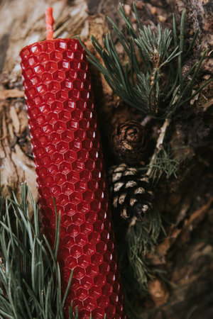 candle on an old log in the forest. Fall season.の写真素材