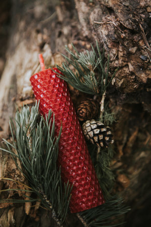 candle on an old log in the forest. fairy scene witchcraft ritual. Fall season. Mabon, Samhain sabbat, holiday conceptの写真素材