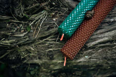 two candles on an old log in the forest. Fall season. holiday conceptの写真素材