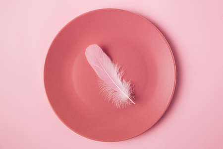 Three pink feathers in the flat plate. Minimal concept idea for diet or eat littleの写真素材