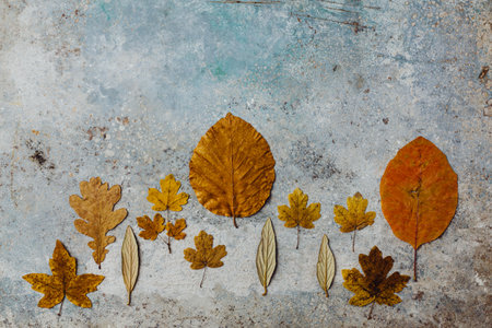 Creative autumn leaves at the beautifil vintage wood background. Copy spaceの写真素材