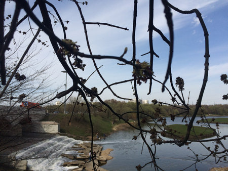 river in spring with bare trees and cloudy blue sky in the backgroundの写真素材