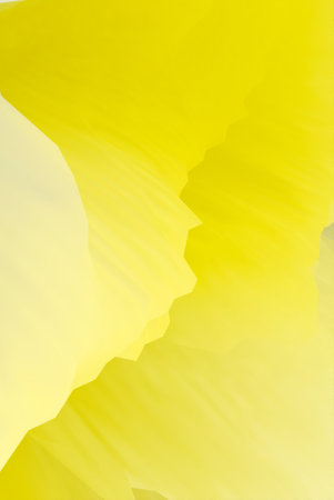 Abstract fantasy background. 3d illustration.